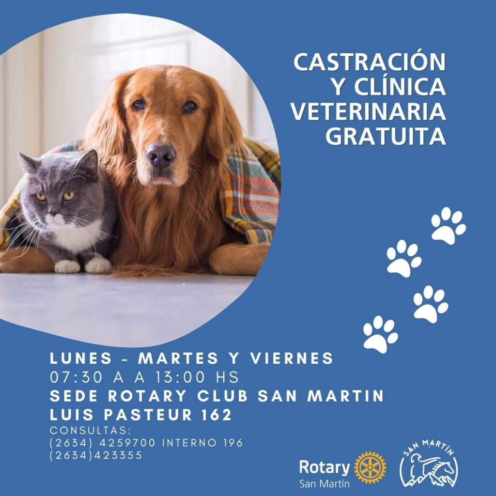 Operativo de Castración y Clínica Veterinaria en Rotary Club San Martín